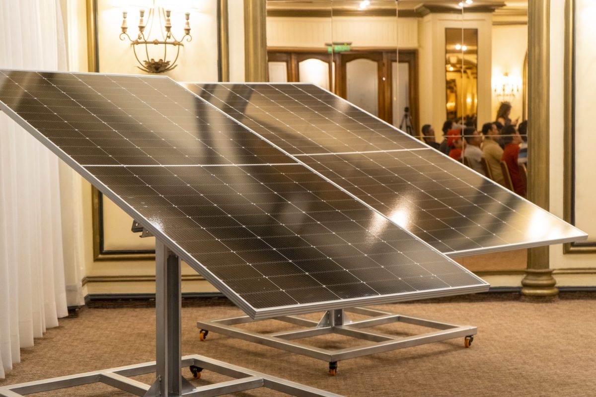 DSC02949 copia scaled