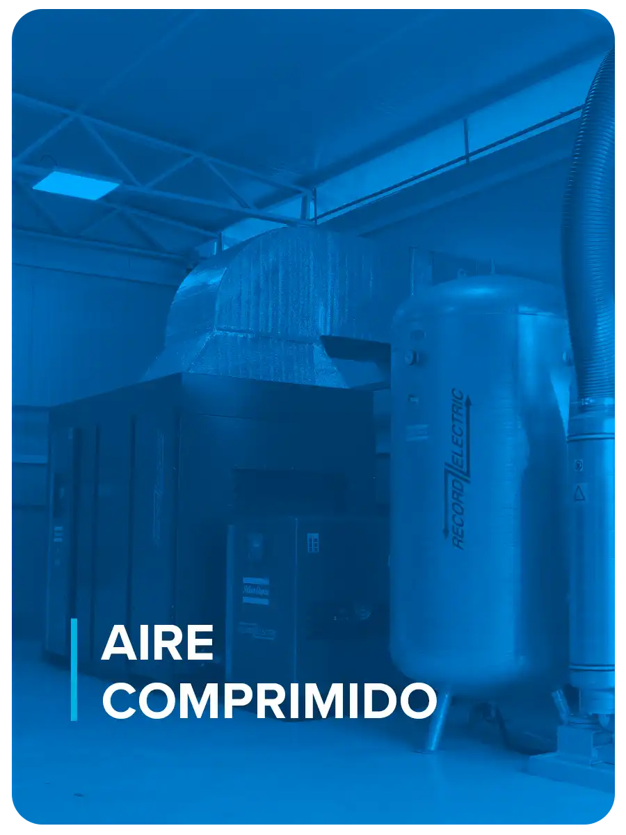 aire comprimido record electric