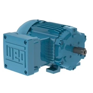 MOTOR TRIFASICO ANTI-EXPLOSIVO 4P IP 55 220/380 1,5HP 10670112 WEG 01