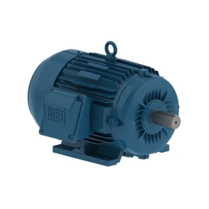 MOTOR TRIFASICO 6P IP55 W22 C90S 220/380 1HP 11520031 WEG 01