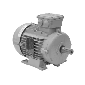 MOTOR TRIFASICO 2P IP55 W21-WNT C112M 380/660 5,50HP 15538180 WEG 01
