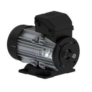 MOTOR TRIFASICO 2P IP 55 W12 220/380 0,33HP 16101624 WEG 01