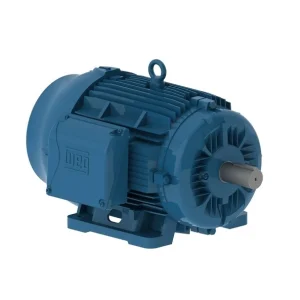 MOTOR TRIFASICO 4P IP55 W22 C160L 380/660 20HP 11404894 WEG 01