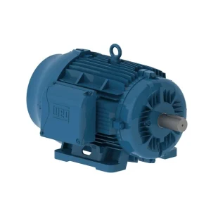 MOTOR TRIFASICO 2P IP55 W22 C160L 380/660 25HP 11462509 WEG 01