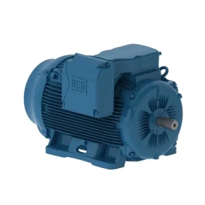 MOTOR TRIFASICO 2P IP55 W22 C225S/M 380/660 60HP 11554720 WEG 01