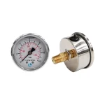 MANOMETRO HORIZONTAL C/GLICERINA D63 0-12 BAR 655.0612 LUISE 01