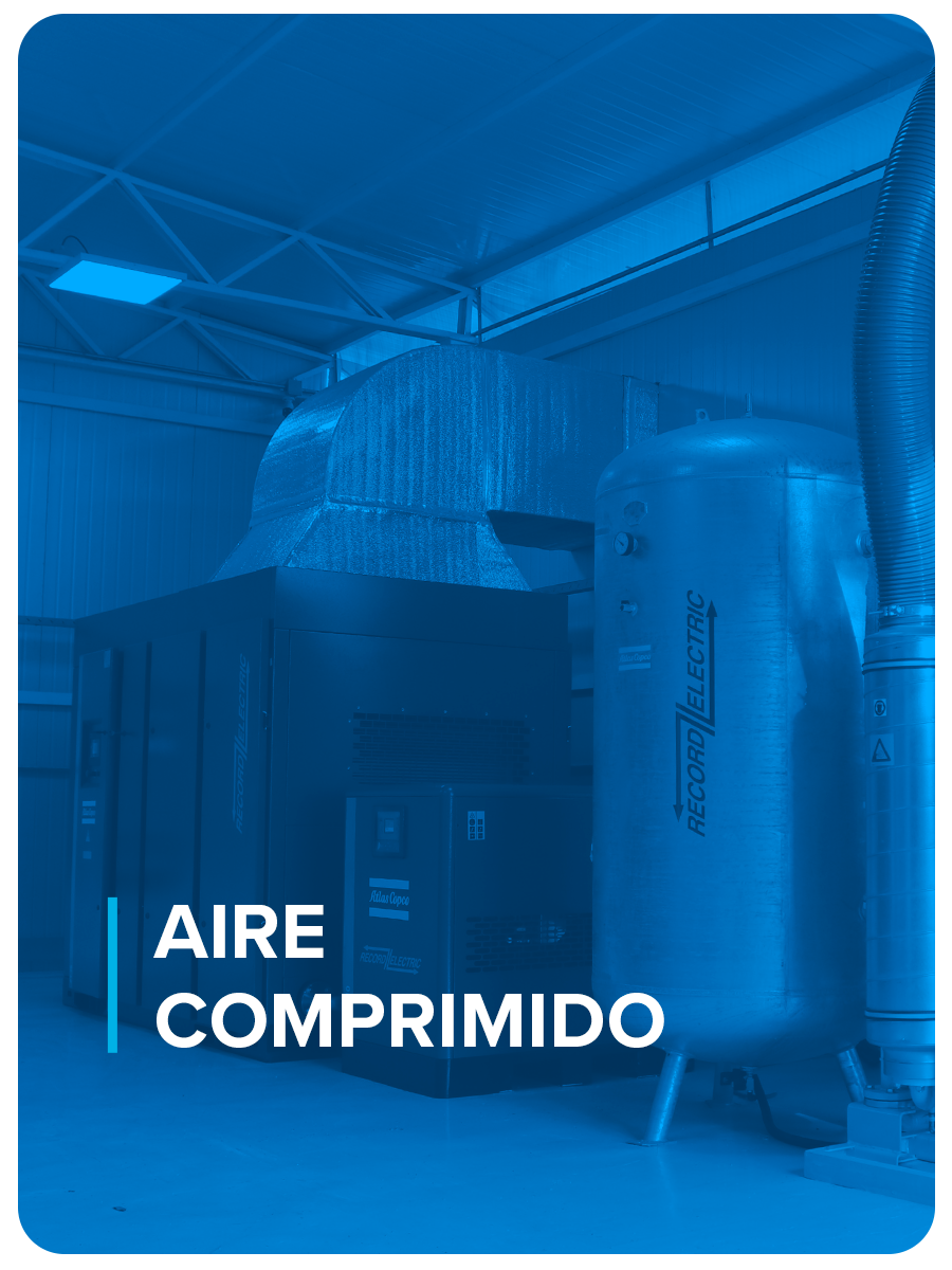 aire comprimido record electric