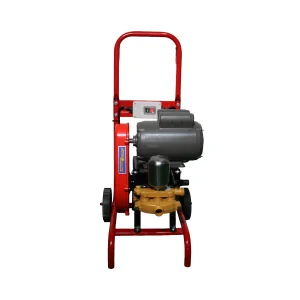 HIDROLAVADORA RL-28/2 C/ACCESORIOS Y MOTOR 2HP 2P MON. WEG+ZM 02