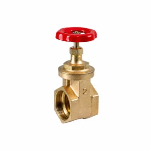 VALVULA EXCLUSA 1.1/4" 032000000008 RIV 01