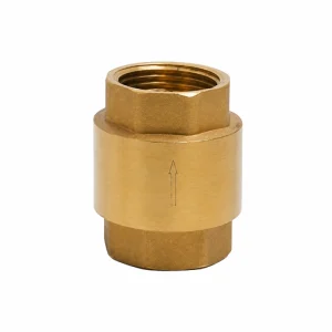 VALVULA DE RETENCION S/REJILLA1.1/4" 089228000008 RIV 01