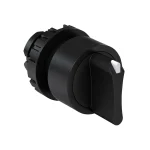 SELECTOR 2 POSICION CJCK2F45.10 12923170 WEG 01