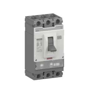 ACCIONAMIENTO MOTORIZADO ACW 400-630 E46 220VAC 10583661 WEG 01