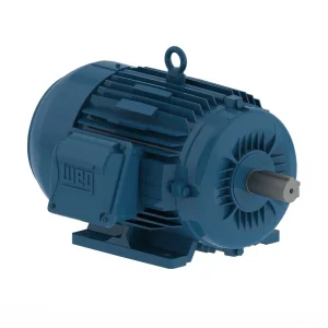 MOTOR DOBLE VELOCIDAD 8/4P C112M 2.0/3.0HP 12363376 WEG 01