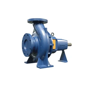BOMBA EJE LIBRE GS 65/200 RT.219 EBARA 01