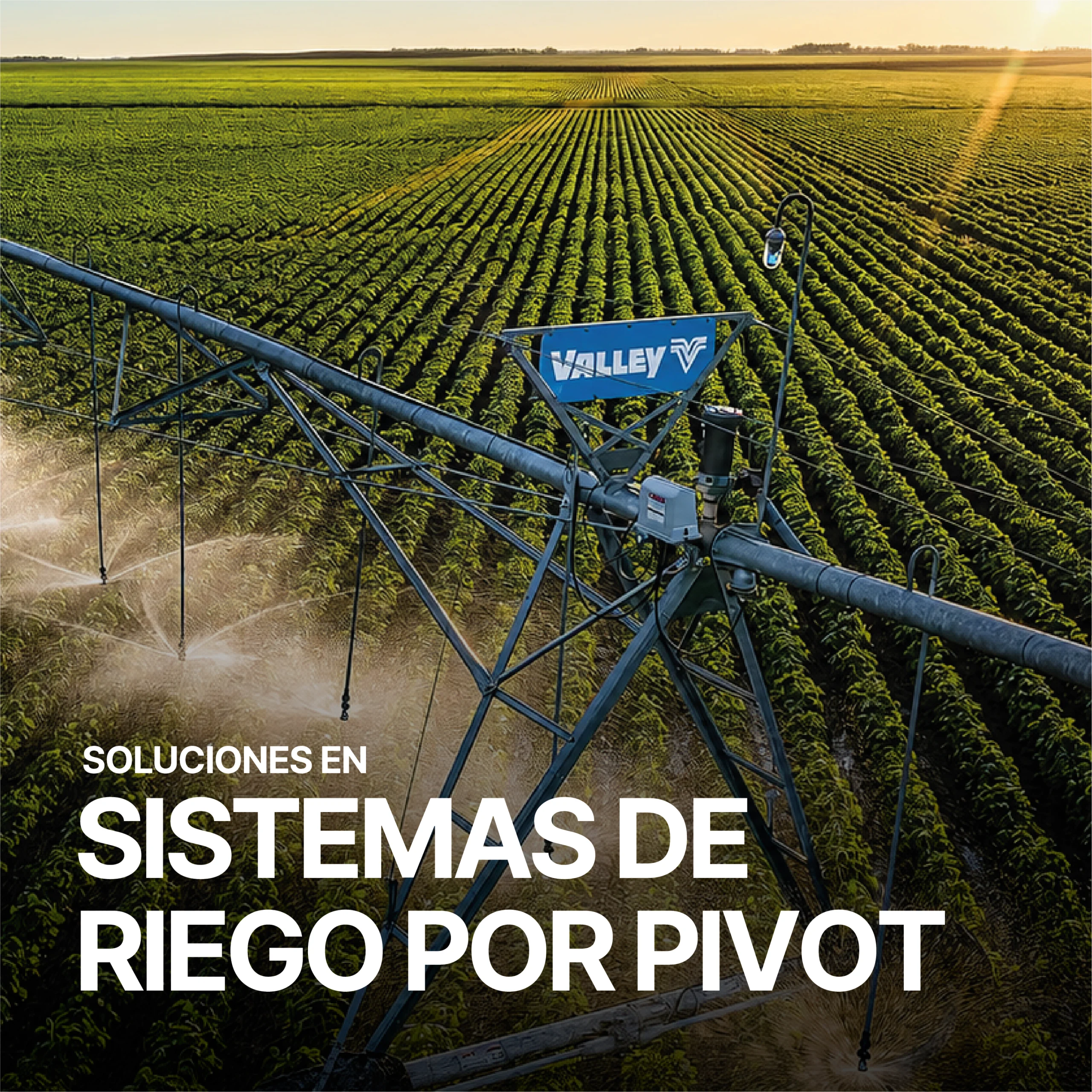 Soluciones en sistemas de riego por pivot