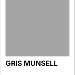 PINTURA EN POLVO. HI20-LI-BR. GRIS N6,5 25KG 10004913 WEG 02