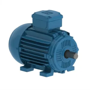 MOTOR TRIFASICO 2P IP55 W21-WNT C90S/L 220/380 3,00HP 15538157 WEG