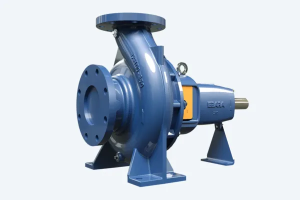 BOMBA MANCALIZADA GS- 80/250 RT.266 EBARA
